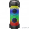 Ginzzu GM-219 {(V5.0), 50Вт, 150Гц- 18кГц, USB-flash, microSD-card, FM-радио, пульт ДУ, батарея 3,6В/4500мАч, эквалайзер }